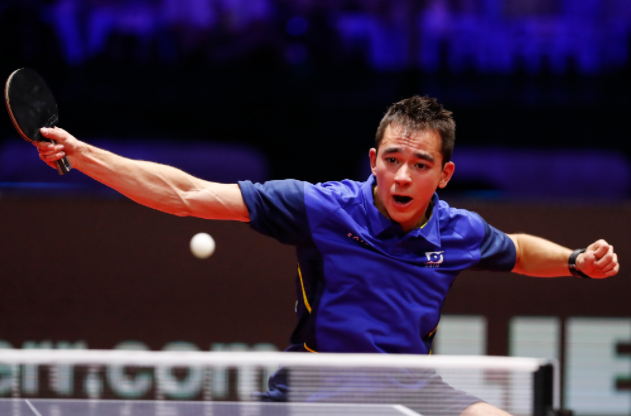 和塞鸟的作 和塞鸟的作