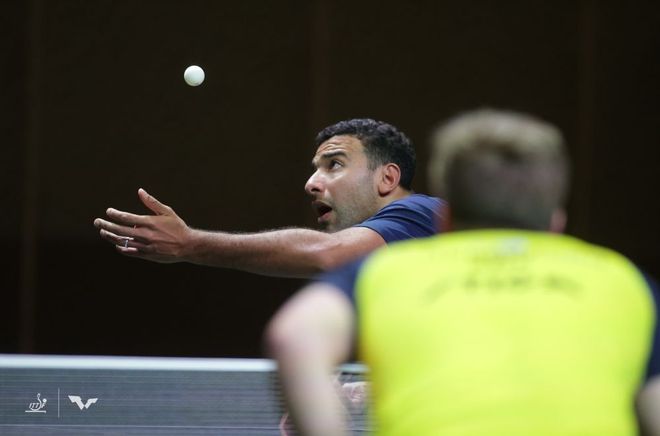 官方已在公 官方已在公